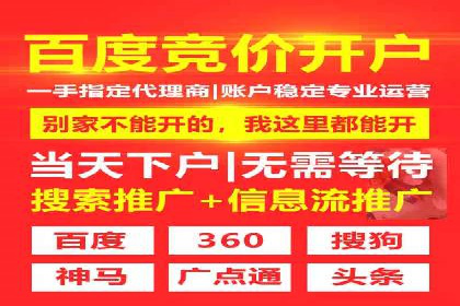 百度竞价排名服务的广告投放技巧与策略